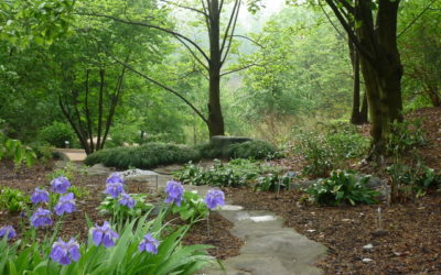 Arboretum Program
